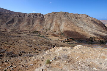 fuerteventura, canary islands, spain, desert, 