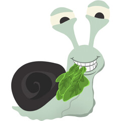 Drawing of a funny snail eating a salad leaf, image on transparent background