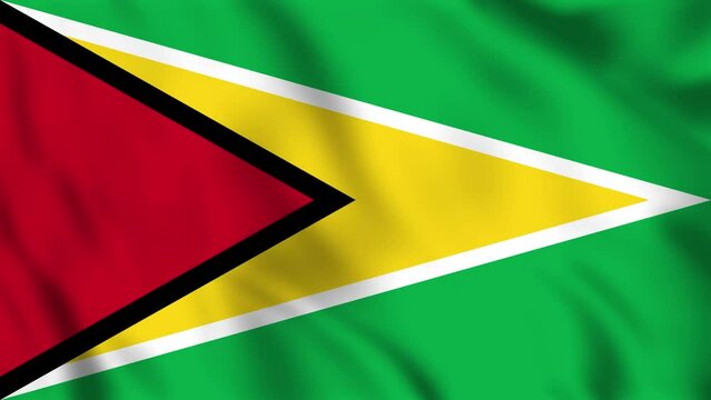 Looped background animation of the waving flag of Guyana
