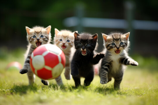 Photo of a group of kittens playing "soccer" with a mini ball and goals. Generative AI