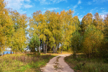 Dirt road in the forest on the riverbank. Autumn landscape.