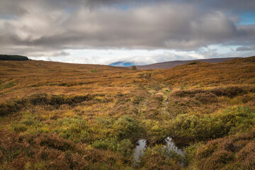 A autumnal HDR image of a stalking track in the landscape of Sutherland, Scotland, with Ben Hee in the background shrouded in cloud