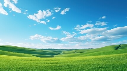 Fototapeta premium Natural Scenic Panorama Green Field with Blue Sky 