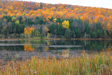 North america fall landscape eastern township Bromont-Shefford Quebec province Canada