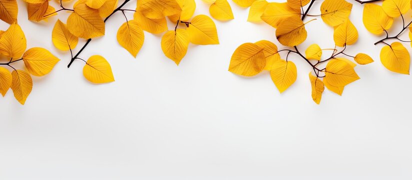 Minimal concept of fallen yellow leaves and branches in autumn viewed from the top with available empty space