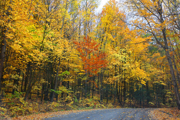 Naklejka premium North america fall landscape eastern township Bromont-Shefford Quebec province Canada