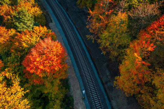 Autumnal landscape of the forest and railway in Kashubia. Poland