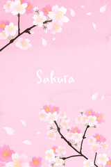 Obraz na płótnie Canvas 桜の花びらが散る背景