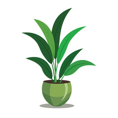 Fototapeta na wymiar Indoor plant in a pot, home garden concept, house plant flat design illustration - Vector
