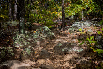 moss covered rocks