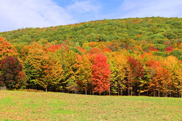 Fototapeta premium North america fall landscape eastern township Bromont-Shefford Quebec province Canada