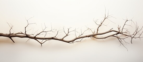 Twig art abstract Zen inspired creations