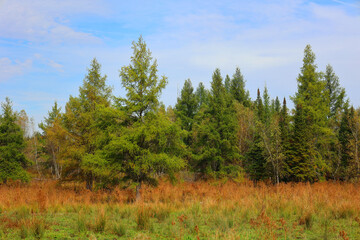 North america fall landscape eastern township Bromont-Shefford Quebec province Canada