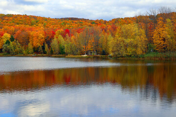 North america fall landscape eastern township Bromont-Shefford Quebec province Canada