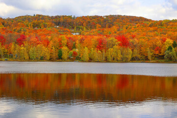 North america fall landscape eastern township Bromont-Shefford Quebec province Canada