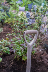 Close-up of a garden shovel's handle, with a focus on the textured grip. The background showcases a softly blurred garden scene with lush green plants.