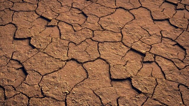 Soil drying out, timelapse of desert ground cracks getting bigger from water evaporation.