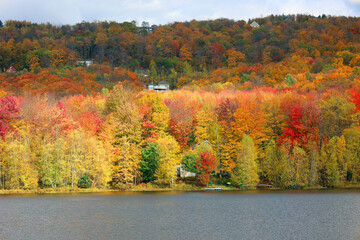 Obraz premium North america fall landscape eastern township Bromont-Shefford Quebec province Canada