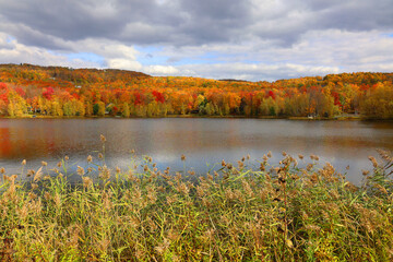 North america fall landscape eastern township Bromont-Shefford Quebec province Canada