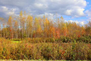 Fototapeta premium North america fall landscape eastern township Bromont-Shefford Quebec province Canada