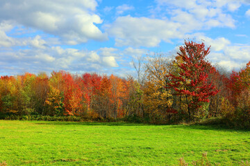 North america fall landscape eastern township Bromont-Shefford Quebec province Canada