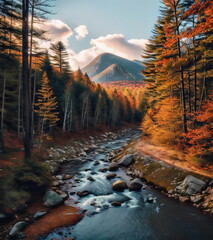 New Hampshire Autumn Forest - obrazy, fototapety, plakaty