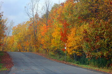 North america fall landscape eastern township Bromont-Shefford Quebec province Canada
