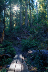 North Cascade Hiking