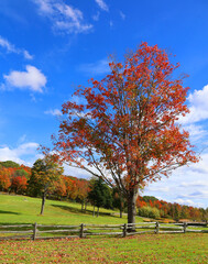 North america fall landscape eastern township Bromont-Shefford Quebec province Canada