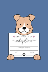 Once Stray Pitbull Puppy Dog Holding Adoption Certificate in Front
