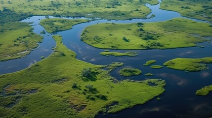 Fototapeta na wymiar Green river, aerial landscape in Okavango delta, Botswana. Lakes and rivers, view from airplane. Vegetation in South Africa. 