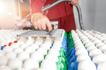 Worker transportation eggs with sucker vacuum pump on production line in bakery factory
