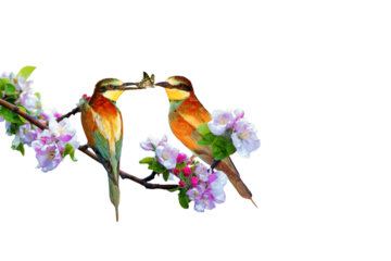 Colorful birds on a branch with spring flowers blooming. Isolated images. White background. Birds: Bee eater.