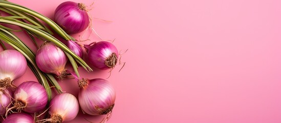 Pink backdrop with onions - obrazy, fototapety, plakaty
