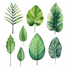 Tropical tree leaves watercolor set for card decor on white background. Generated AI