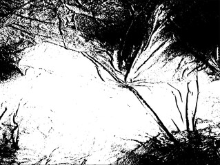 Rustic grunge vector texture with grain and stains. Abstract noise background. Weathered surface. Dirty and damaged. Detailed rough backdrop. Vector graphic illustration with transparent white. EPS10.