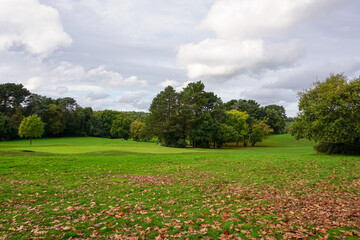 brown autumn leaves on the grass of golf course. scenic landscape during fall season. view over parkland golf course 
