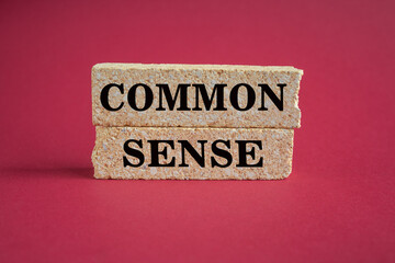 Common sense symbol. Concept words Common sense on beautiful brick blocks. Beautiful red background. Business, motivational common sense concept. Copy space.