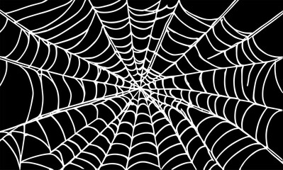 Spider web, outline vector illustration for background