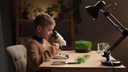 A boy studying plants using a microscope studies at home in the evening at the table