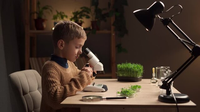 A boy studying plants using a microscope studies at home in the evening at the table