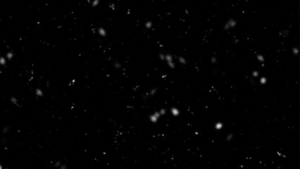 Falling snow isolated on black background. Falling snow at night. Bokeh lights on black background, flying snowflakes in the air. Winter weather. Overlay texture.