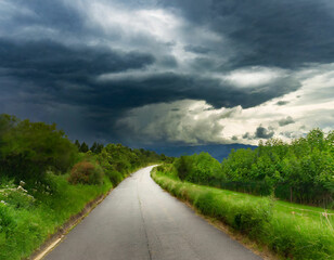 Obraz premium Green Wilderness Road Journey under Stormy Skies