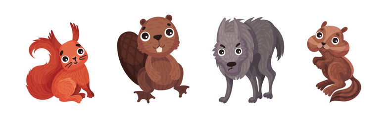 Forest Animals with Squirrel, Beaver, Wolf and Chipmunk Vector Set