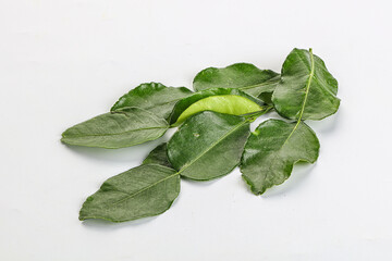 Aroma seasoning kaffir lime leaves