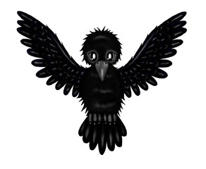 Obraz premium flying raven spread wings