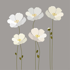 Set of minimalistic flowers in white and beige colors