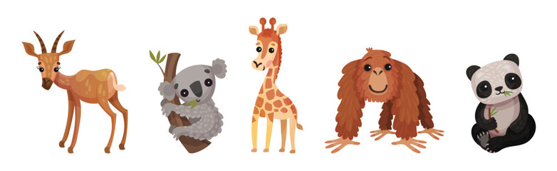 Cute African Animals and South Wild Fauna Vector Set