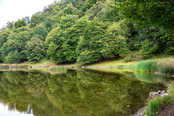 green lake in summer