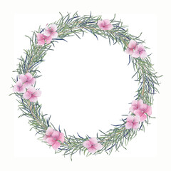Watercolor wreath with delicate  pink hydrangea flowers,  branches. Hand drawn floral illustration on white background.  Vintage frame, for wedding, invitation